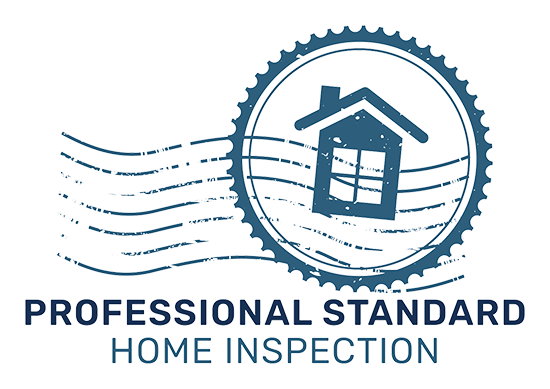 Professional Standard Home Inspection in Wichita